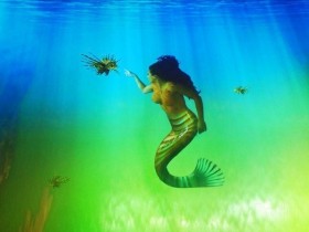 2019年最新澳门免费表演秀大汇总